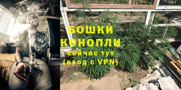 СК Белокуриха