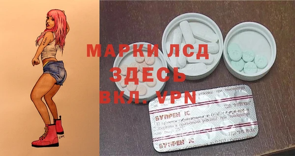 СК Белокуриха