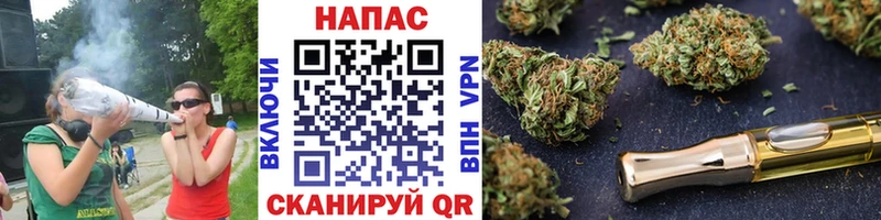 Конопля план что такое Кириши